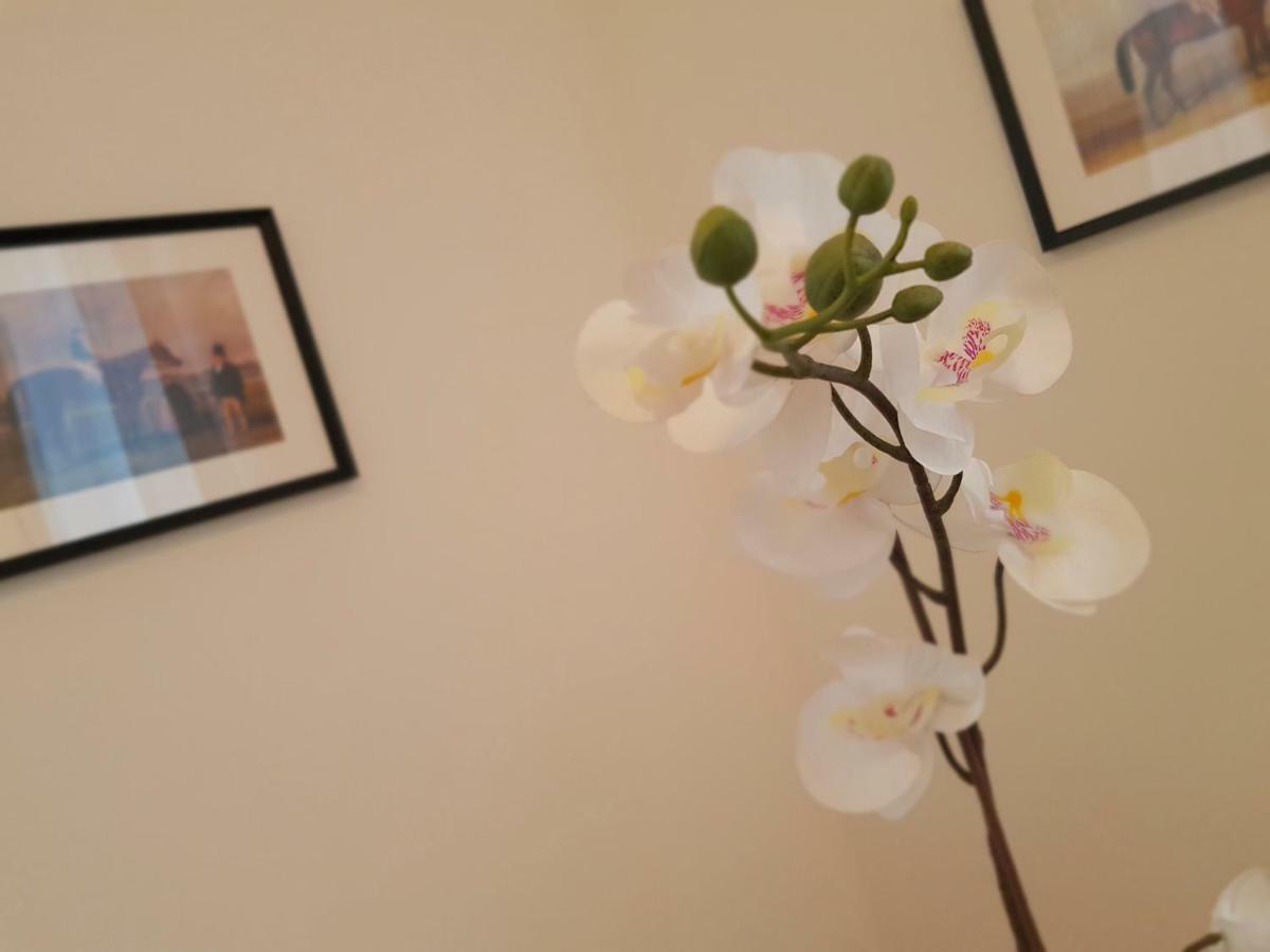 רומא St Paul House Boutique & Apartment מראה חיצוני תמונה